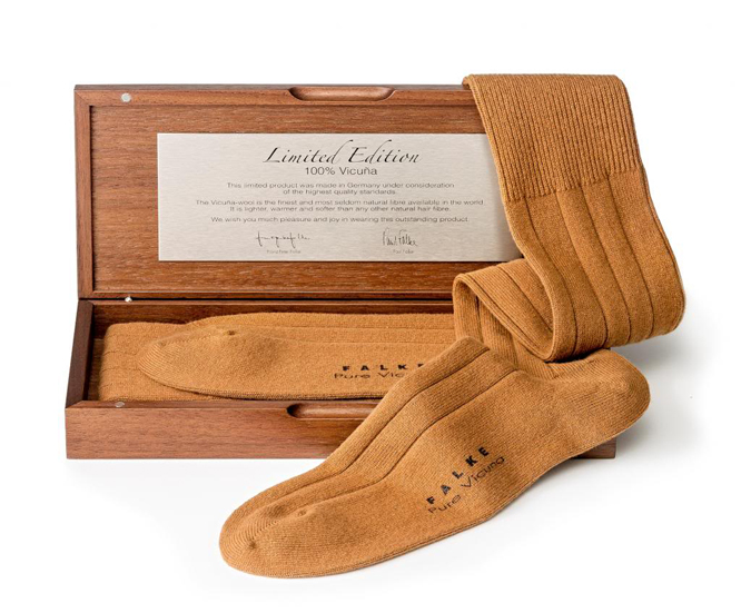 ������ ���������� �1 Finest Vicuna FALKE 