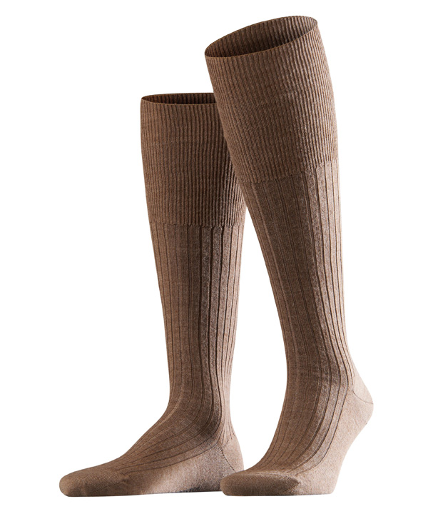 ������ Bristol Pure FALKE. ���� �������