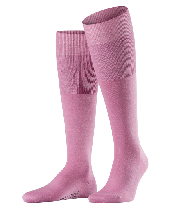 ������ Airport FALKE. ���� �������