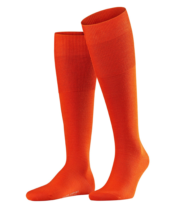 ������ Airport FALKE. ���� ���������