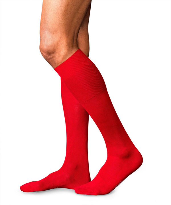 ������ �6 Finest Merino & Silk FALKE. ���� �������