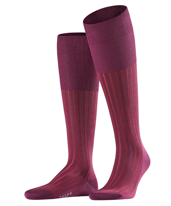 ������ ��������� Shadow FALKE 