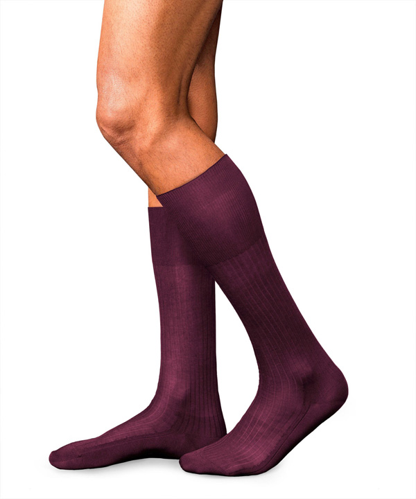 ������ ������� � 10 Pure Fil d�Ecosse  FALKE 