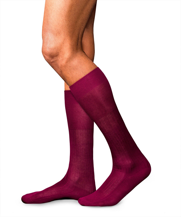 ������ ��������� � 10 Pure Fil d�Ecosse  FALKE 