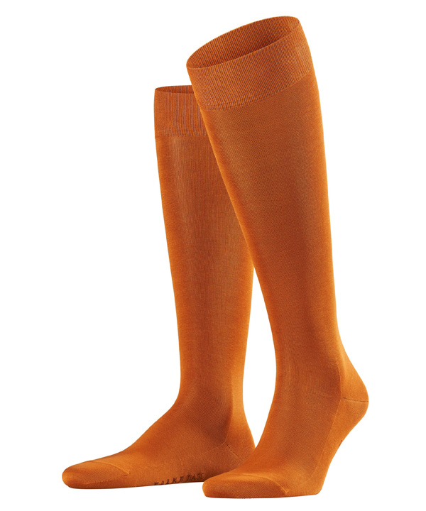 ������ ��������� Tiago FALKE 