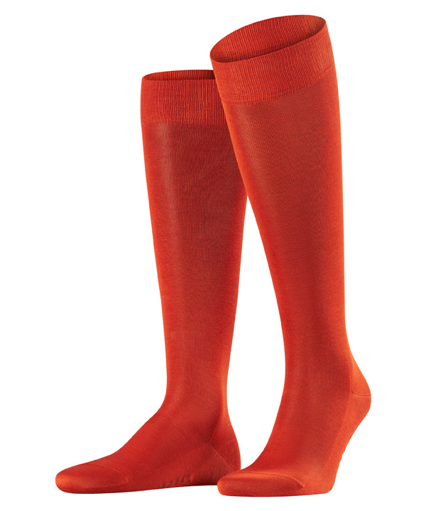 ������ ��������� Tiago FALKE 