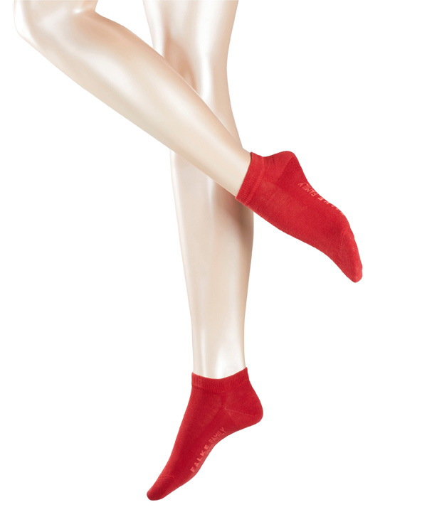 C������ FAMILY FALKE. ���� �������