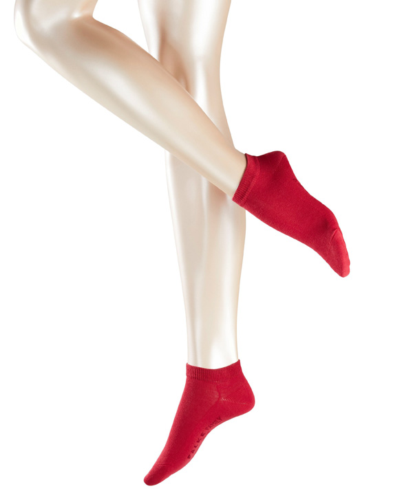 C������ FAMILY FALKE. ���� �������